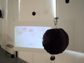 Evento "Bacteriart, from invisible to visible”: uno dei progetti vincitori