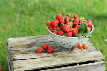 Torta deliziosa alle fragoline di bosco