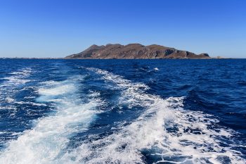 Location da sogno: Favignana