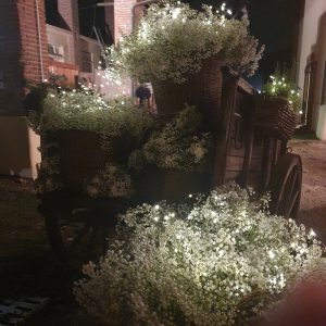 Matrimonio a Lodi
