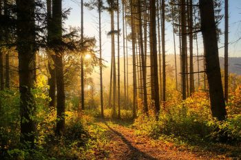 Equinozio autunno