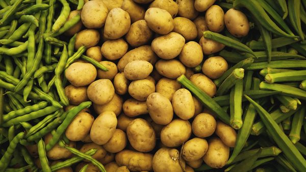 Insalata d’inverno: un antipasto per le feste di Natale