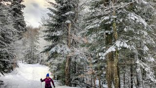Olimpiadi invernali Milano-Cortina